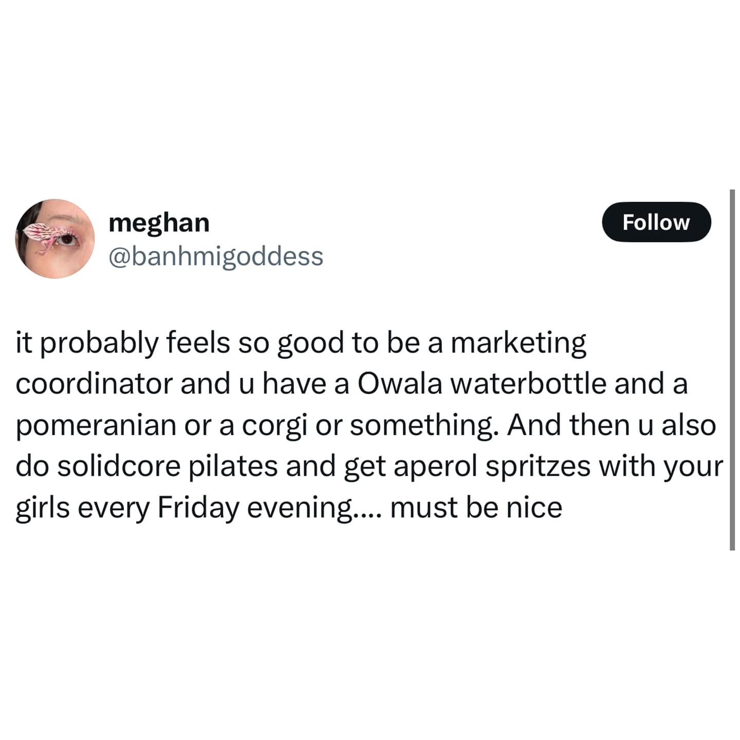 it probably feels so good to be a marketing coordinator and u have a Owala waterbottle and a pomeranian or a corgi or something. And then u also do solidcore pilates and get aperol spritzes with your girls every Friday evening.... must be nice