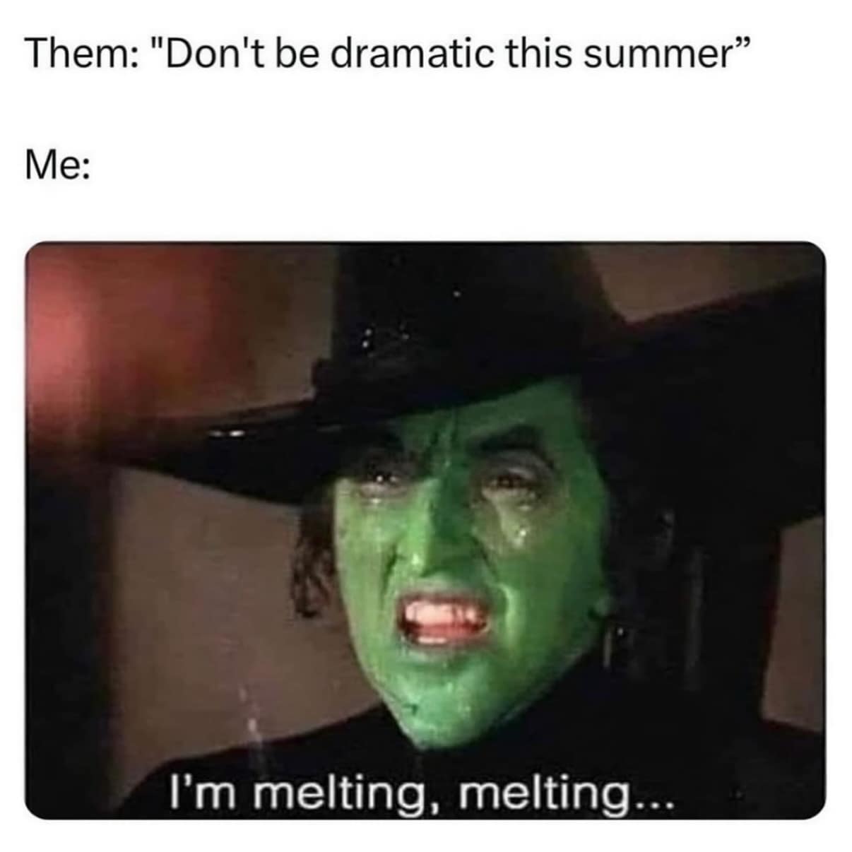 Them: "Don't be dramatic this summer" Me: I'm melting, melting...