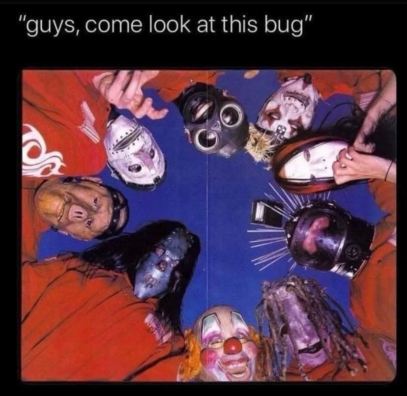 "guys, come look at this bug"