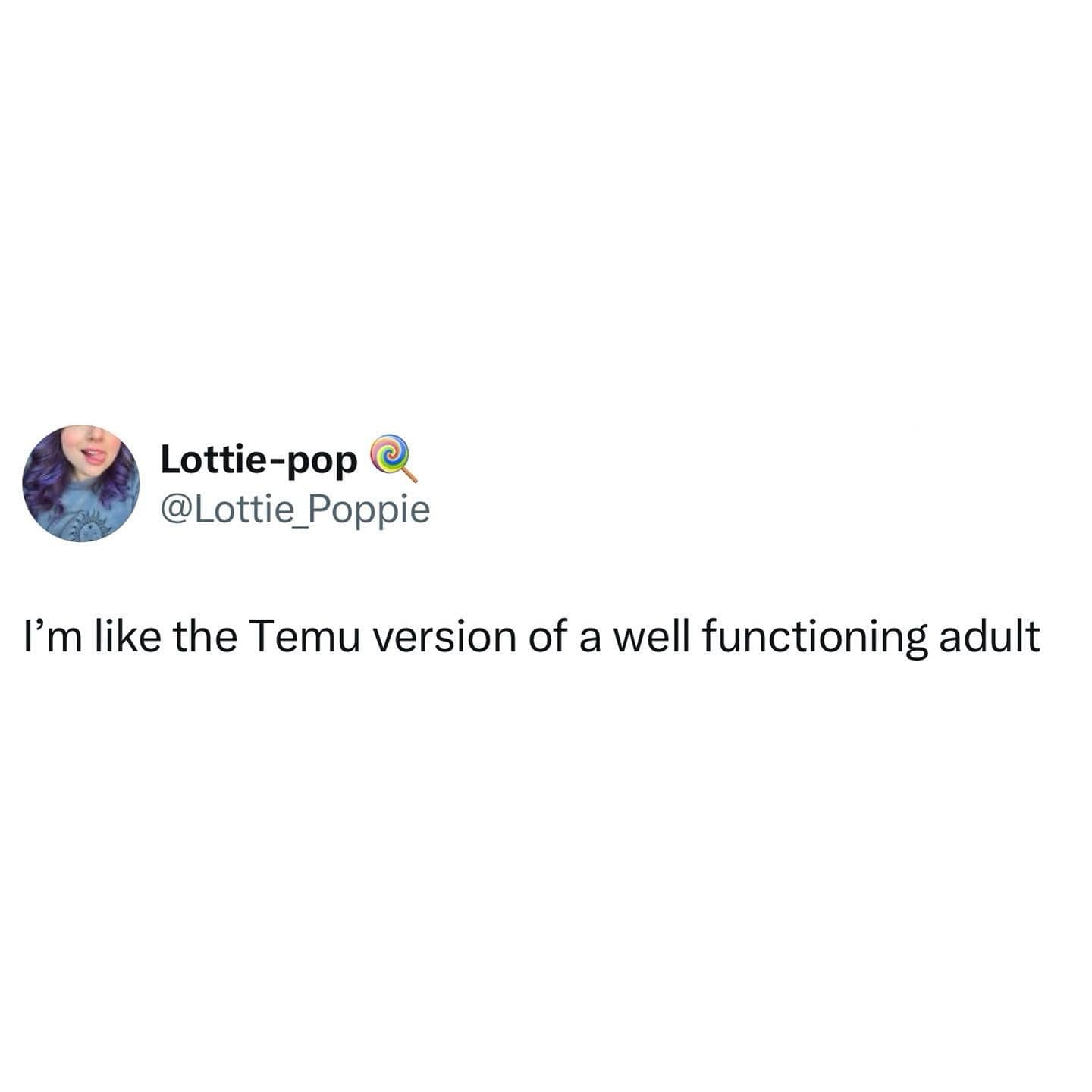 I'm like the Temu version of a well functioning adult