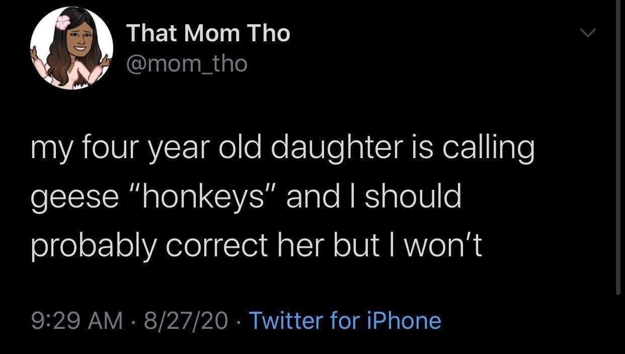 my four year old daughter is calling geese "honkeys" and I should probably correct her but I won't