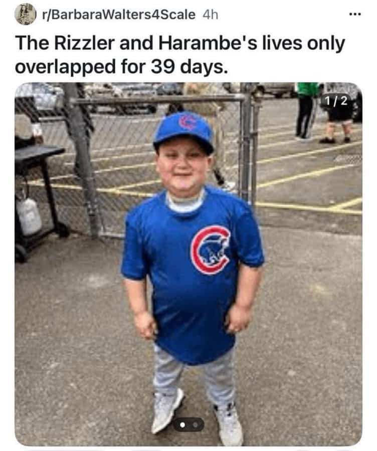 funny reddit posts, unhinged reddit, viral Reddit posts, Reddit memes, trending posts, meme posts, best Reddit threads, top Reddit comments, funny posts, group chat memes, internet jokes, wild Reddit, unhinged posts, screenshot memes, internet memes, Reddit fails, comedy posts, meme gallery, social media memes, viral jokes, Reddit chaos