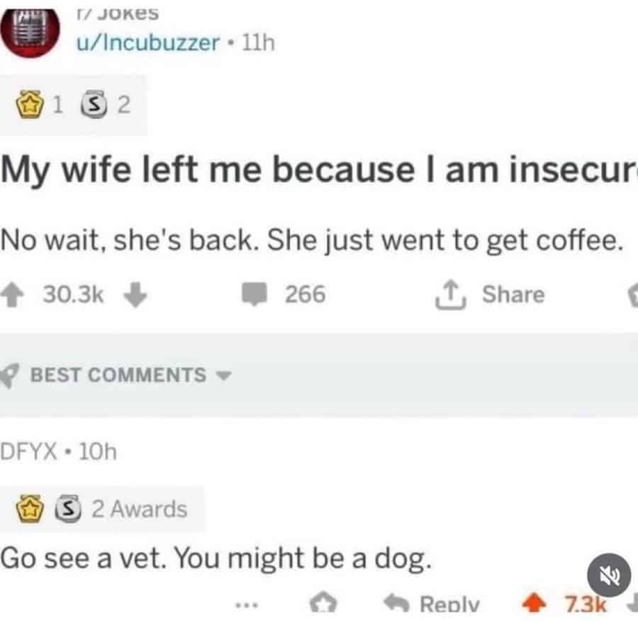 funny reddit posts, bizarre reddit bosts, Reddit humor, internet jokes, viral posts, relatable humor, internet culture, weird posts, online humor, digital jokes, absurd content