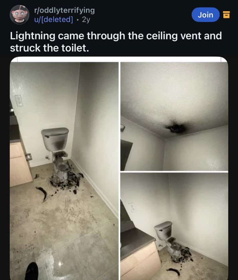 funny reddit posts, bizarre reddit bosts, Reddit humor, internet jokes, viral posts, relatable humor, internet culture, weird posts, online humor, digital jokes, absurd content