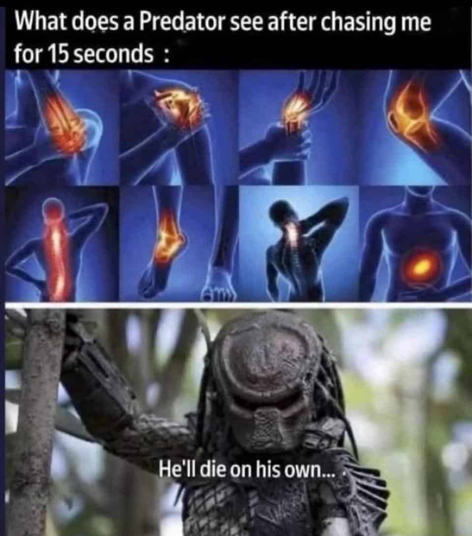 gym memes, workout memes, fitness memes, exercise memes, bodybuilding memes, lifting memes, leg day memes, cardio memes, weightlifting memes, gym humor, training memes, pre-workout jokes, protein memes, squat memes, health humor, gym fails, gym jokes, fitness jokes, swole memes, gym motivation memes