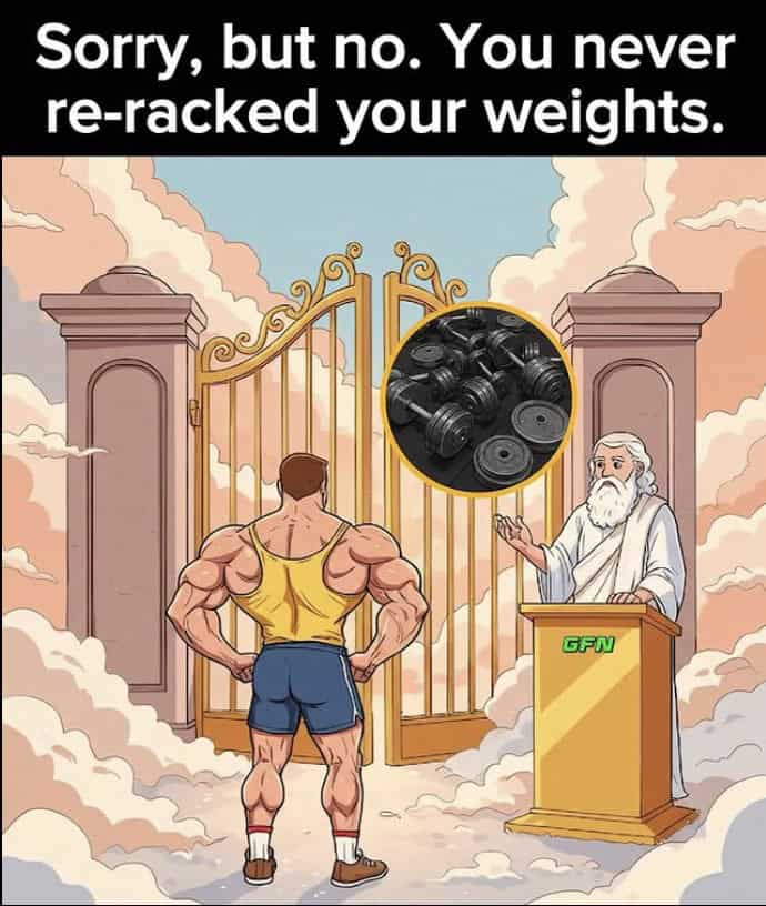 gym memes, workout memes, fitness memes, exercise memes, bodybuilding memes, lifting memes, leg day memes, cardio memes, weightlifting memes, gym humor, training memes, pre-workout jokes, protein memes, squat memes, health humor, gym fails, gym jokes, fitness jokes, swole memes, gym motivation memes