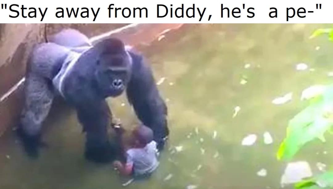 harambe memes, Harambe, gorilla memes, dank memes, meme tribute, viral memes, nostalgic memes, animal memes, Harambe jokes, gorilla humor, meme dump, funny memes, zoo memes, 2016 memes, legendary memes, viral gorilla, meme collection, internet culture, tribute memes