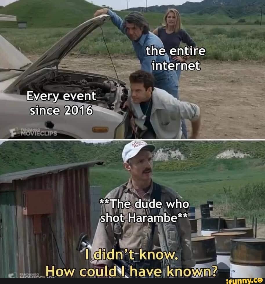 harambe memes, Harambe, gorilla memes, dank memes, meme tribute, viral memes, nostalgic memes, animal memes, Harambe jokes, gorilla humor, meme dump, funny memes, zoo memes, 2016 memes, legendary memes, viral gorilla, meme collection, internet culture, tribute memes