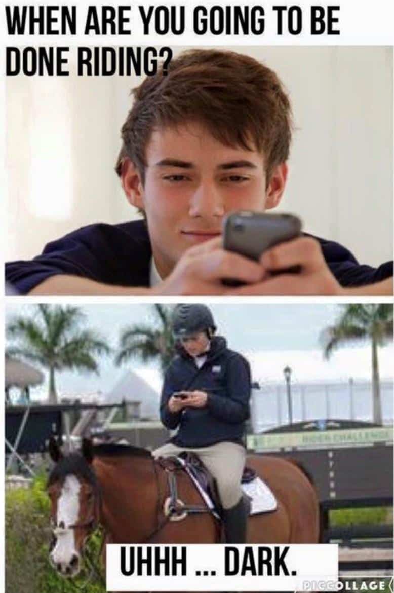 horse girl meme, horse girl memes, horse memes, equestrian memes, barn memes, animal memes, funny horse memes, stable memes, horse humor, horse life memes, pony memes, saddle memes, horse lover memes, pet memes, barn life memes, horse riding memes, chaotic memes, farm memes, animal lover memes, viral memes