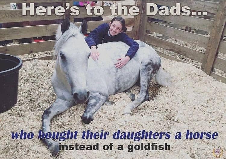 horse girl meme, horse girl memes, horse memes, equestrian memes, barn memes, animal memes, funny horse memes, stable memes, horse humor, horse life memes, pony memes, saddle memes, horse lover memes, pet memes, barn life memes, horse riding memes, chaotic memes, farm memes, animal lover memes, viral memes