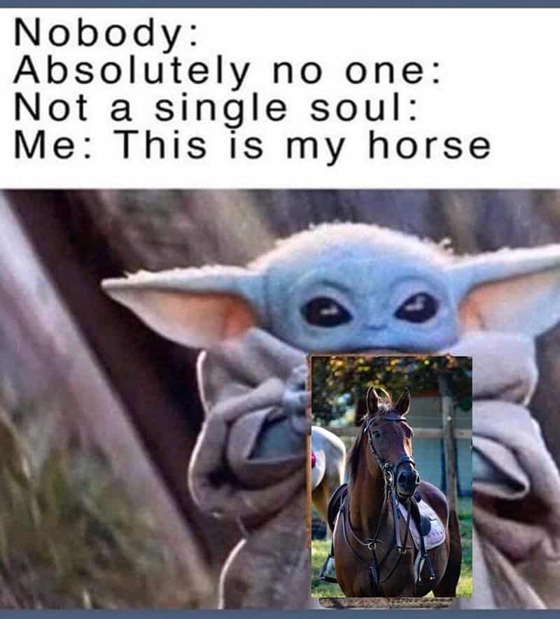 horse girl meme, horse girl memes, horse memes, equestrian memes, barn memes, animal memes, funny horse memes, stable memes, horse humor, horse life memes, pony memes, saddle memes, horse lover memes, pet memes, barn life memes, horse riding memes, chaotic memes, farm memes, animal lover memes, viral memes