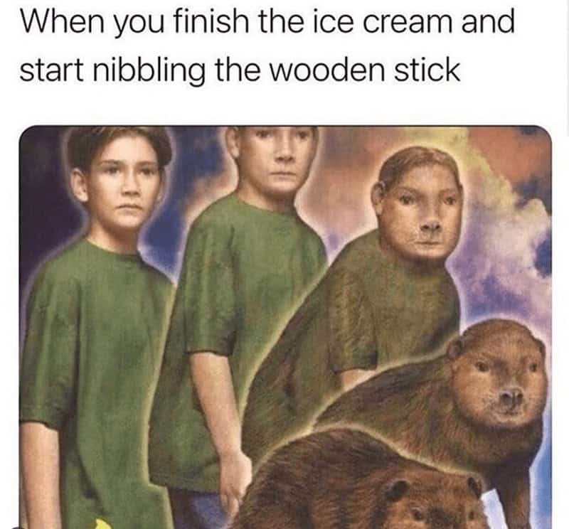 ice cream memes, frozen treat memes, sweet tooth humor, dessert memes, ice cream jokes, heat wave humor, drippy cone memes, snack memes, flavor memes, freezer memes, cold treat jokes, sundae memes, soft serve memes, scoop memes, snack attack memes, cravings memes, summer treat memes, frozen dessert memes, snack lover memes