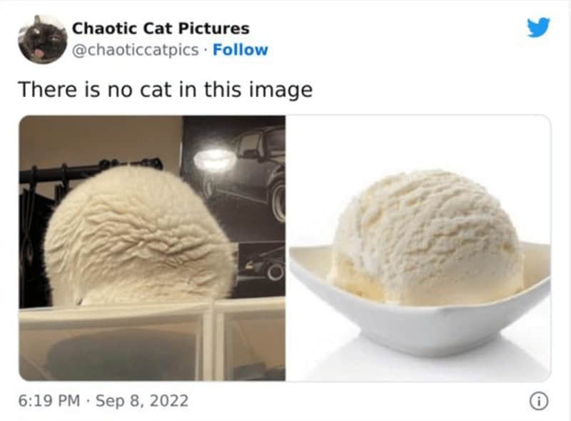 Ice Cream Memes: 40 Jokes for Your Summer Sweet Tooth