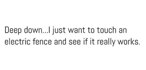 meme dump, funny memes, hilarious memes, meme collection, work memes, office memes, workplace humor, professional memes life memes, everyday memes, relatable memes, sarcastic life humor, lunchtime memes, break memes, lunchtime laughs, midday humor, meme gallery, dank memes, dank meme dump