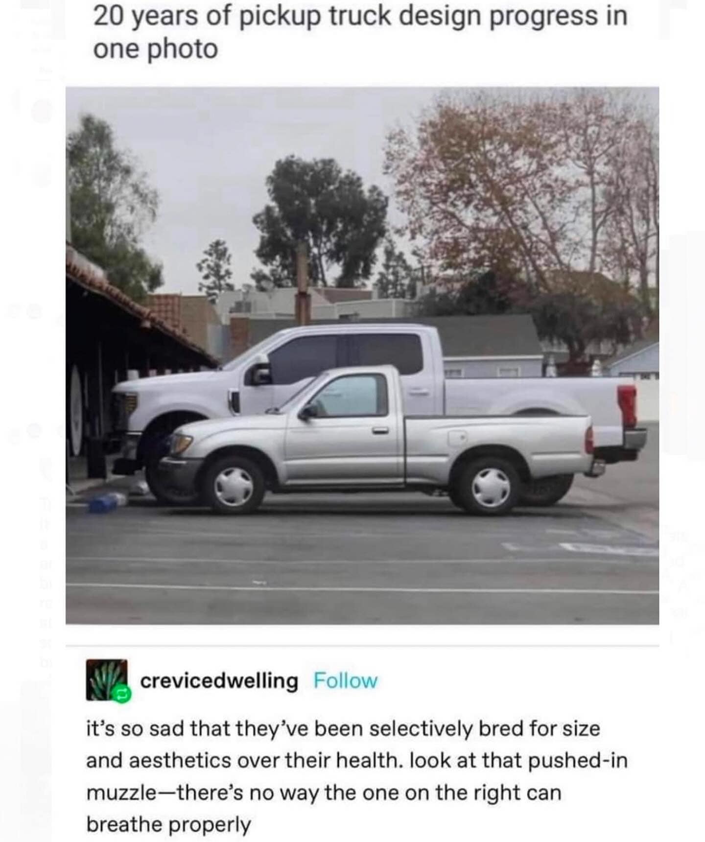 meme dump, funny memes, hilarious memes, Sunday memes, weekend memes, lazy memes, viral jokes, group chat memes, funny posts, trending memes, snack memes, Sunday distractions, procrastination memes, meme gallery, Sunday laughs, viral posts, relaxation memes, couch memes, meme collection, weekend jokes, classic memes, internet meme, memes funny