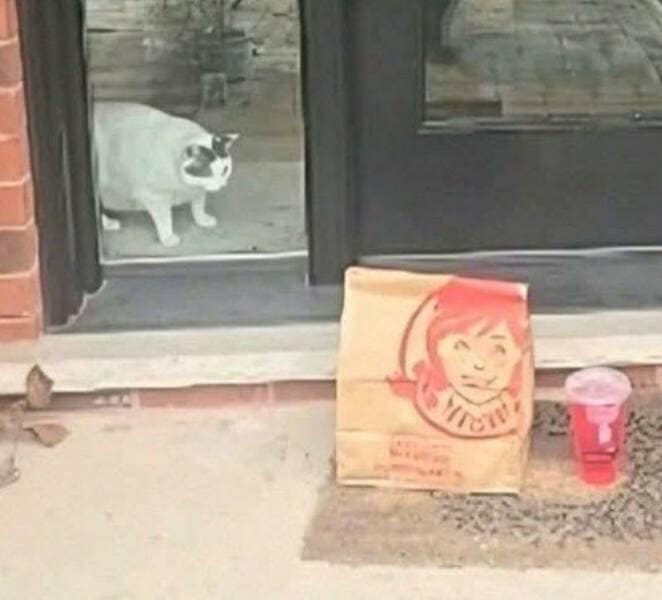 meme dump, funny memes, hilarious memes, viral memes, trending memes, internet memes, relatable memes, meme gallery, daily memes, group chat memes, meme collection, shareable memes, meme folder, office memes, lunch break memes, procrastination memes, meme escape, new memes, wild memes, meme page, meme humor, dank memes, dank meme dump, internet meme