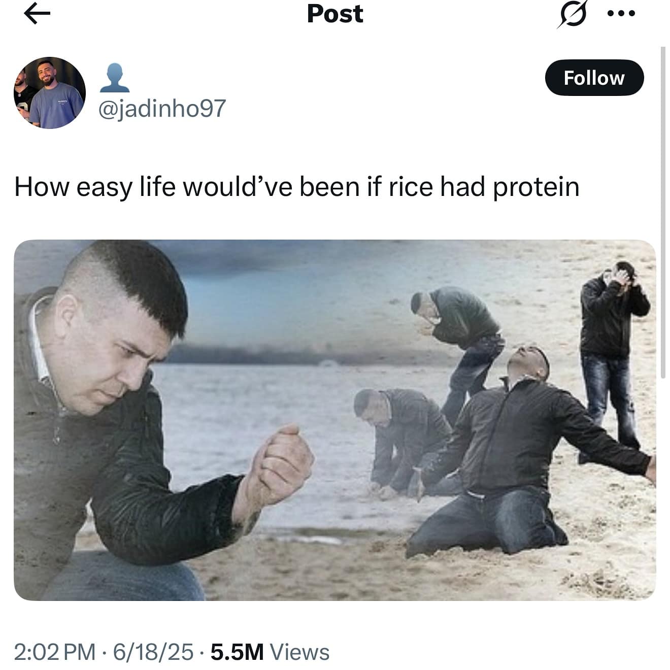 Post Follow @jadinho97 How easy life would've been if rice had protein 2:02 PM • 6/18/25 • 5.5M Views