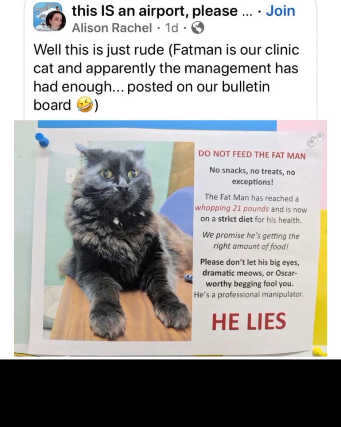 meme dump, hilarious memes, funny memes, trending memes, meme haul, meme stash, comedy memes, viral memes, laugh-out-loud memes, hot memes, dank memes, dank meme dump, memes funny, internet meme