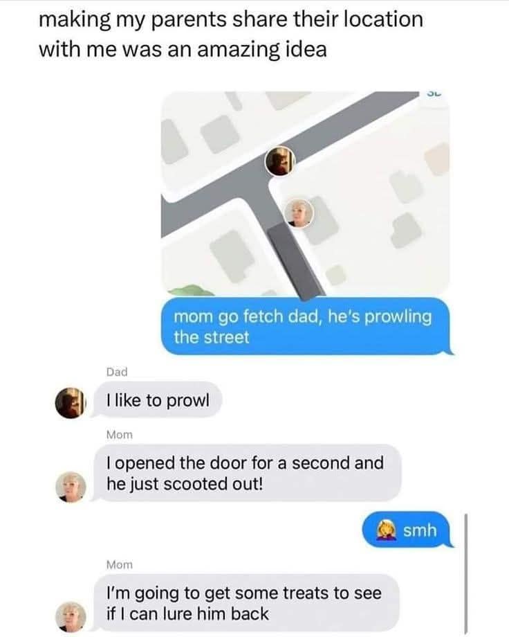 meme dump, funny memes, hilarious memes, office humor, viral posts, trending jokes, group chat memes, weekend memes, funny distractions, meme scroll, work memes, slack-off memes, end of week memes, daily memes, viral memes, meme collection, Friday laughs, office life memes, dank memes, dank meme dump