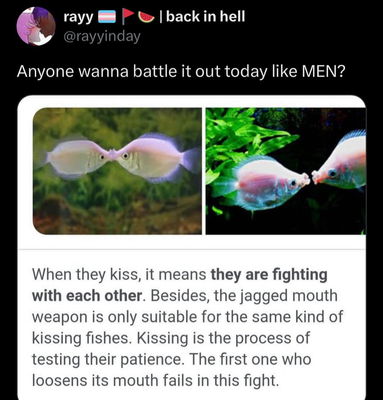 viral memes, trending memes, internet memes, relatable memes, daily memes, meme gallery, group chat memes, meme folder, meme chaos, lunch break memes, procrastination memes, meme distraction, meme page, shareable memes, new memes, work memes, dank memes, meme culture, dank meme dump