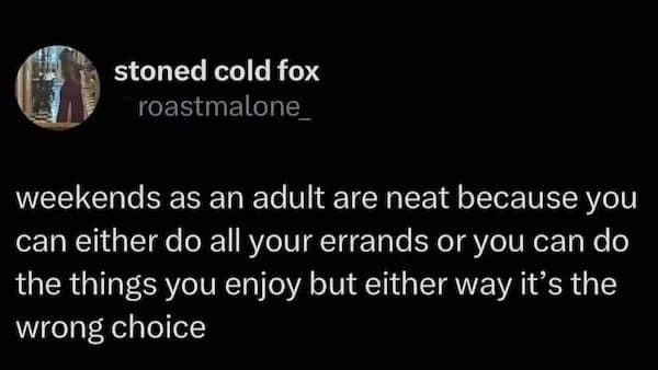 stoned cold fox roastmalone_ weekends as an adult are neat because you can either do all your errands or you can do the things you enjoy but either way it's the wrong choice