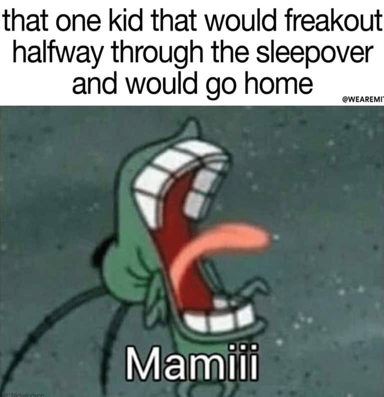 sleepover memes, nostalgia memes, group chat memes, throwback memes, friendship memes, squad memes, funny memes, pajama party memes, pillow fight memes, late night memes, weekend memes, chaos memes, 90s memes, funny childhood memes, sleepover jokes, slumber party memes, prank memes, memories memes