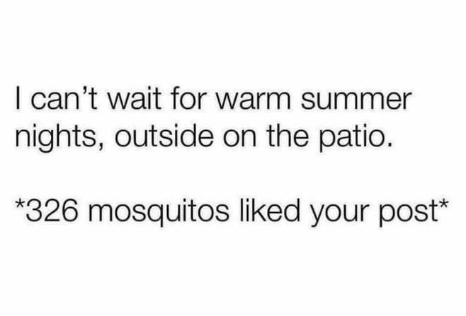 summer memes, hot weather memes, heat wave humor, pool memes, summer jokes, sunscreen memes, summer plans memes, AC memes, sunburn jokes, summer struggle, pool party memes, beach memes, sweaty memes, summer fails, outdoor memes, funny summer memes, July memes, summer vacation memes, sticky seat memes