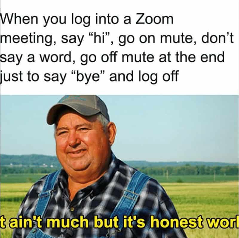 work from home memes, working from home memes, work from home memes, remote work memes, funny work memes, Zoom memes, WFH memes, work memes, home office memes, video call memes, Slack memes, pajama memes, relatable memes, work jokes, corporate memes, meeting memes, digital nomad memes, remote worker memes, meme dump