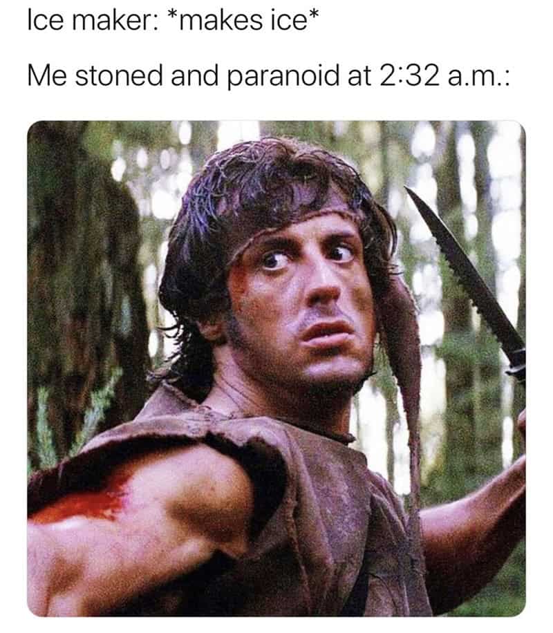 action movie memes, 90s nostalgia, movie memes, group chat memes, throwback memes, millennial memes, hero memes, VHS memes, classic action memes, blockbuster jokes, action stars, movie references, funny memes, nostalgia memes, favorite heroes, movie tropes, Arnold Schwarzenegger memes, Van Damme memes, Willis memes