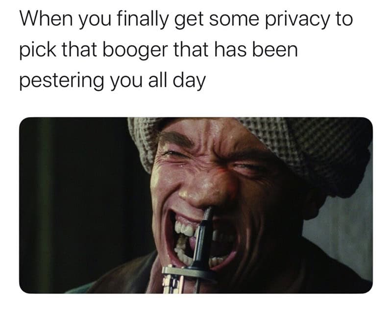 action movie memes, 90s nostalgia, movie memes, group chat memes, throwback memes, millennial memes, hero memes, VHS memes, classic action memes, blockbuster jokes, action stars, movie references, funny memes, nostalgia memes, favorite heroes, movie tropes, Arnold Schwarzenegger memes, Van Damme memes, Willis memes