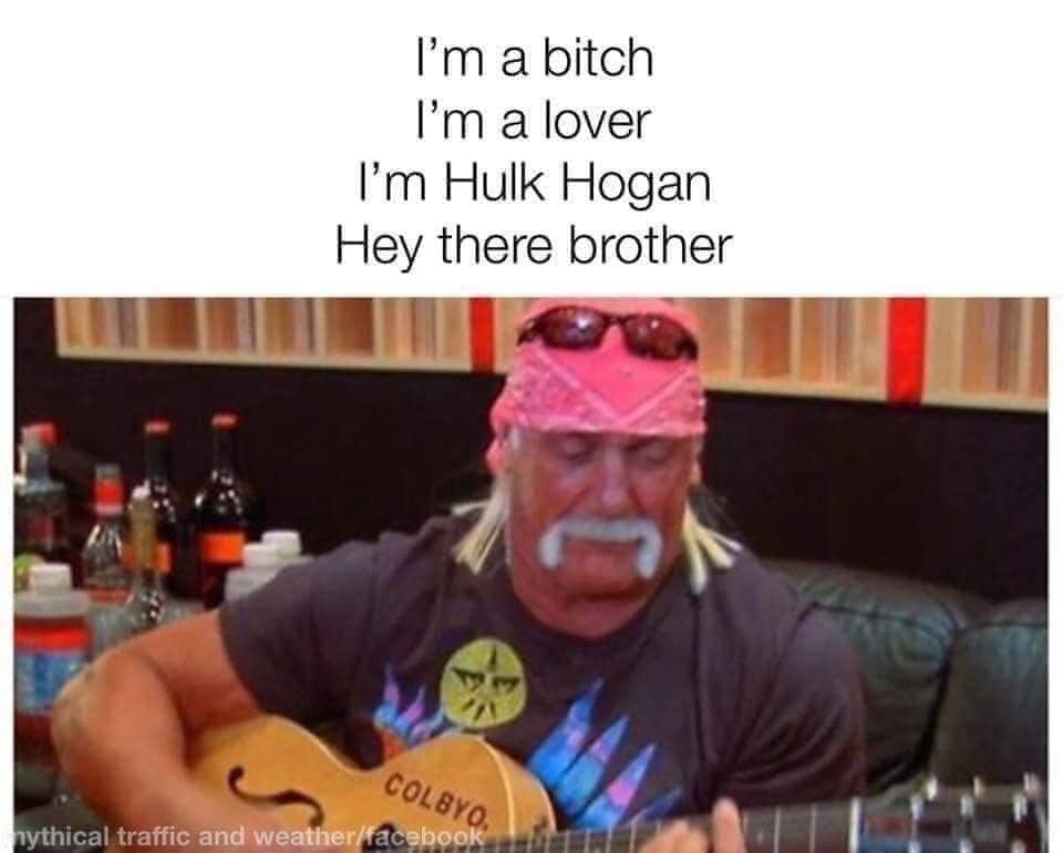 Hulk Hogan memes, wrestling memes, WWE, funny wrestler, Hulk Hogan, wrestling humor, WWE memes, Hulkster, wrestling jokes, wrestler memes, wrestling legends, wrestling fan, funny Hulk Hogan, meme collection, tribute memes, pop, Hulkster memes