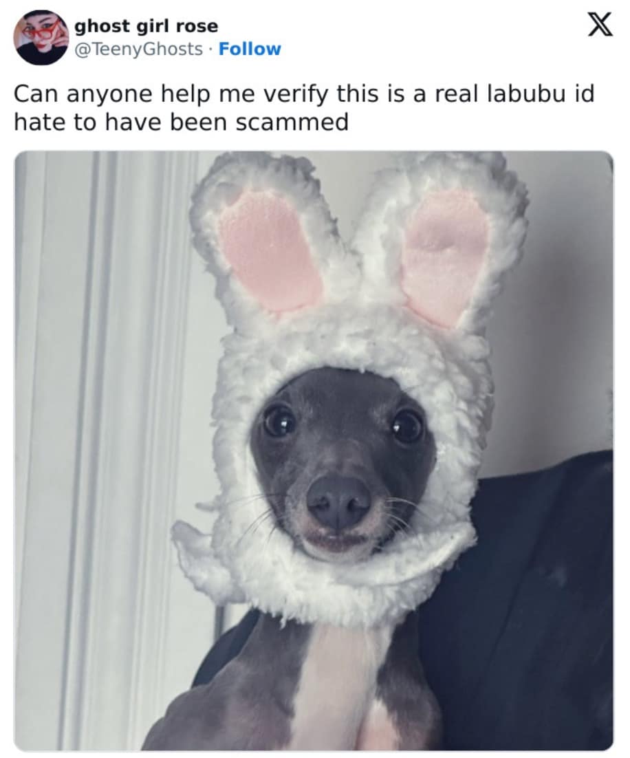 Labubu memes, Labubu doll memes, creepy doll memes, designer toy memes, collectible toy craze memes, toothy plush memes, beanie baby nostalgia memes, where the wild things are memes, limited edition toy memes, Labubu resale memes