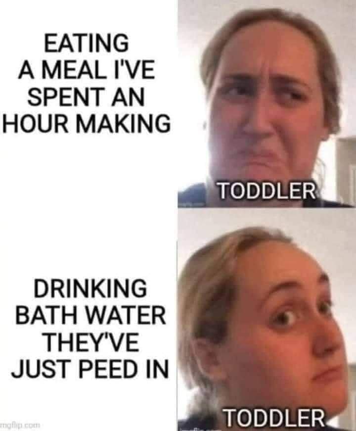 toddler memes, parenting memes, baby memes, toddler jokes, tiny tyrant memes, snack time memes, meltdown memes, toddler chaos memes, toddler life memes, mom memes, dad memes, diaper memes, LEGO memes, nap time memes, toddler humor, family memes, early childhood memes, toddler tantrum memes, parent life memes, parenting humor
