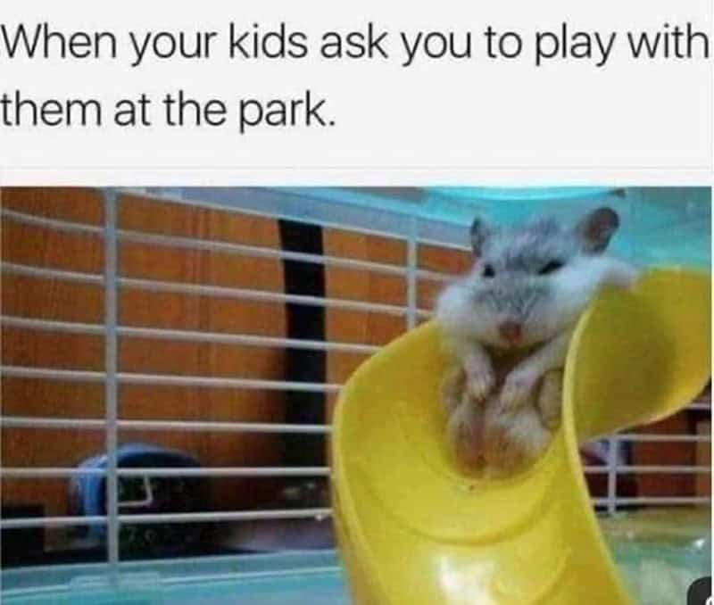toddler memes, parenting memes, baby memes, toddler jokes, tiny tyrant memes, snack time memes, meltdown memes, toddler chaos memes, toddler life memes, mom memes, dad memes, diaper memes, LEGO memes, nap time memes, toddler humor, family memes, early childhood memes, toddler tantrum memes, parent life memes, parenting humor