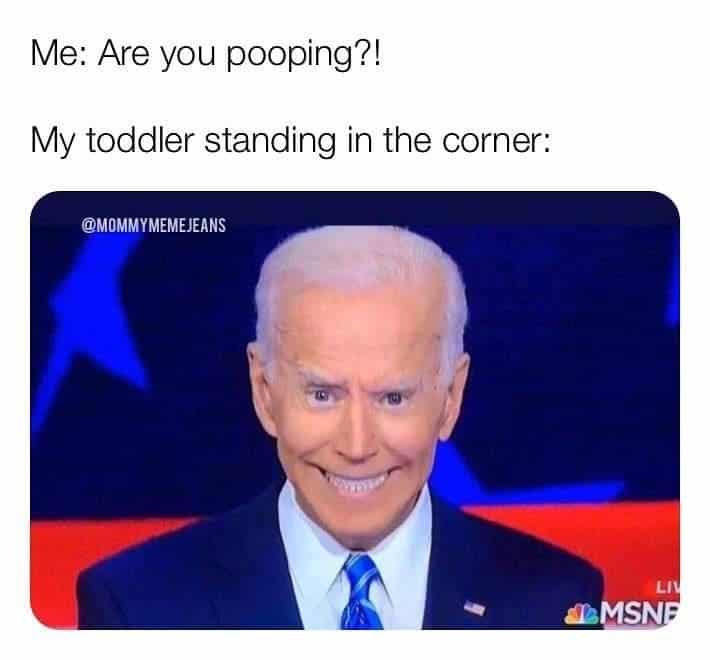 toddler memes, parenting memes, baby memes, toddler jokes, tiny tyrant memes, snack time memes, meltdown memes, toddler chaos memes, toddler life memes, mom memes, dad memes, diaper memes, LEGO memes, nap time memes, toddler humor, family memes, early childhood memes, toddler tantrum memes, parent life memes, parenting humor