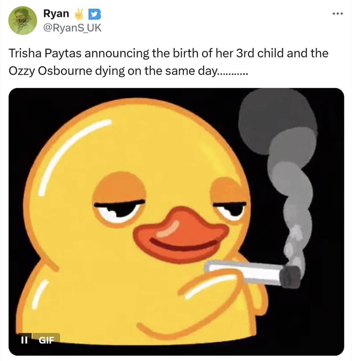 trisha paytas baby conspiracy, trisha paytas memes, celebrity baby conspiracy, internet meme culture, pop culture memes, weird celebrity memes, Trisha Paytas baby memes, celebrity conspiracy theories, viral internet memes, famous baby memes, celebrity gossip memes, bizarre meme theories, online meme trends, meme theories about celebrities, internet culture memes, bizarre meme theories, celebrity gossip memes, internet conspiracy memes, viral meme jokes, meme-filled celebrity rumors, social media meme trends, wild meme theories