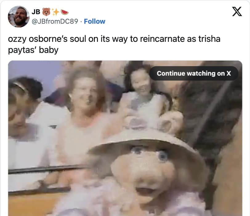 trisha paytas baby conspiracy, trisha paytas memes, celebrity baby conspiracy, internet meme culture, pop culture memes, weird celebrity memes, Trisha Paytas baby memes, celebrity conspiracy theories, viral internet memes, famous baby memes, celebrity gossip memes, bizarre meme theories, online meme trends, meme theories about celebrities, internet culture memes, bizarre meme theories, celebrity gossip memes, internet conspiracy memes, viral meme jokes, meme-filled celebrity rumors, social media meme trends, wild meme theories