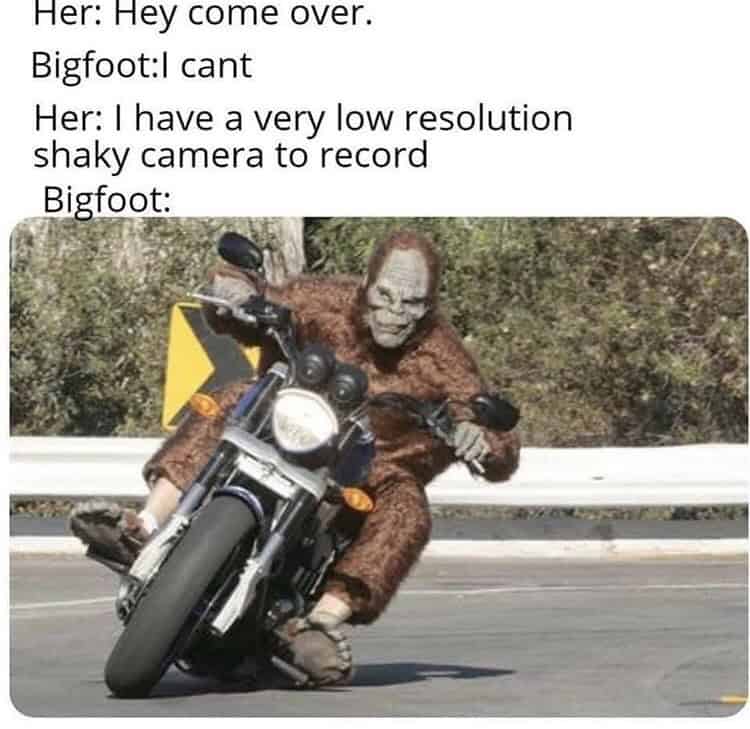 bigfoot meme, bigfoot memes, sasquatch memes, bigfoot jokes, bigfoot sighting memes, bigfoot laughs