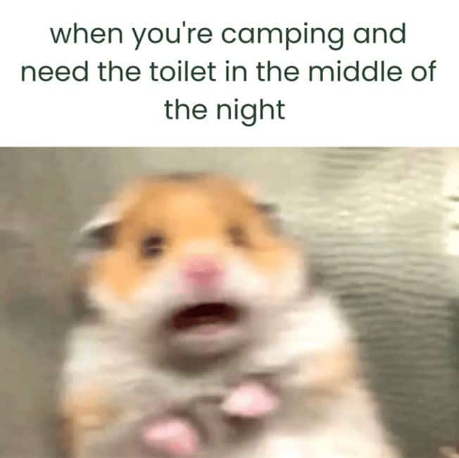 when you're camping and need the toilet in the middle of the night