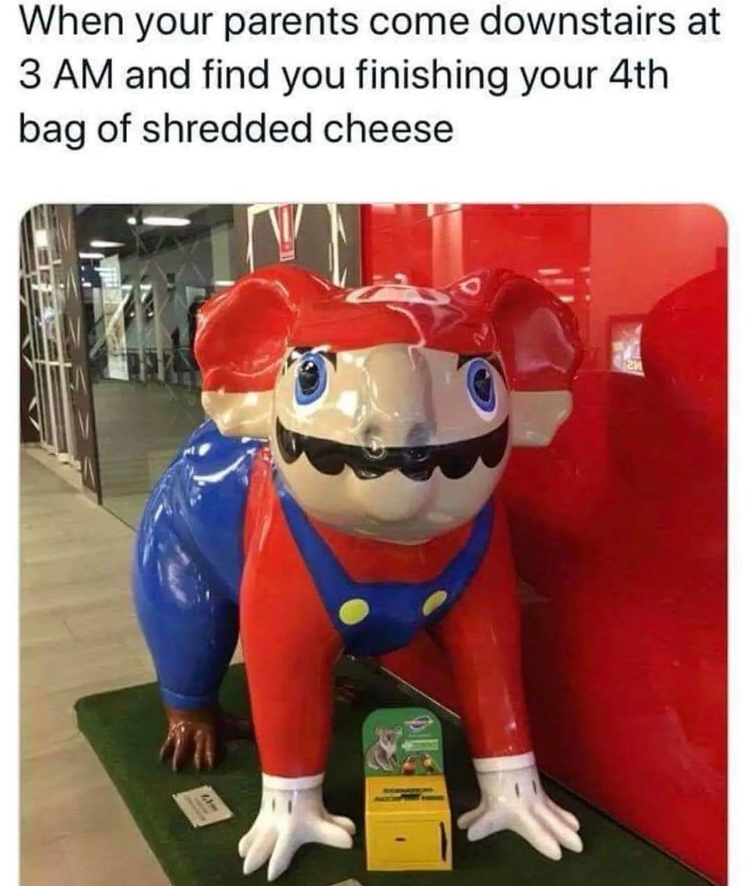 When your parents come downstairs at 3 AM and find you finishing your 4th bag of shredded cheese