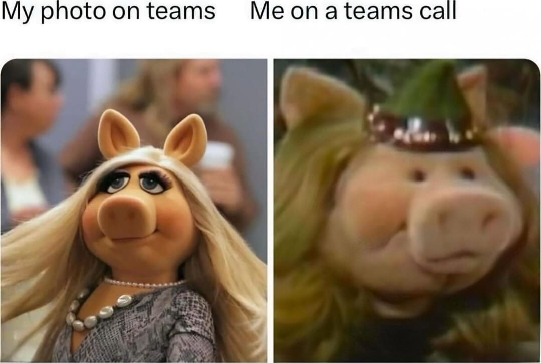 classic memes, vintage memes, viral tweets, nostalgia memes, internet classics, group chat memes, meme history, reaction images, trending memes, meme timeline, legendary memes, viral memes, old memes, internet favorites, throwback memes, meme legends, best memes, iconic memes, comfort memes, classic jokes, OG memes