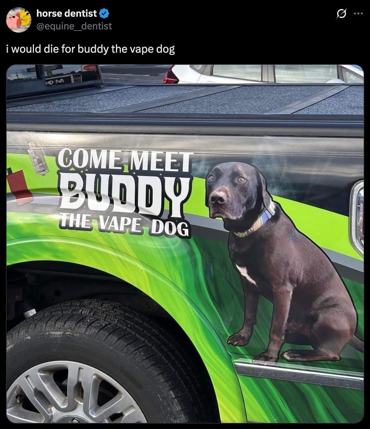 horse dentist v @equine_dentist i would die for buddy the vape dog COME, MEET BUDDY THE VAPE DOG ...