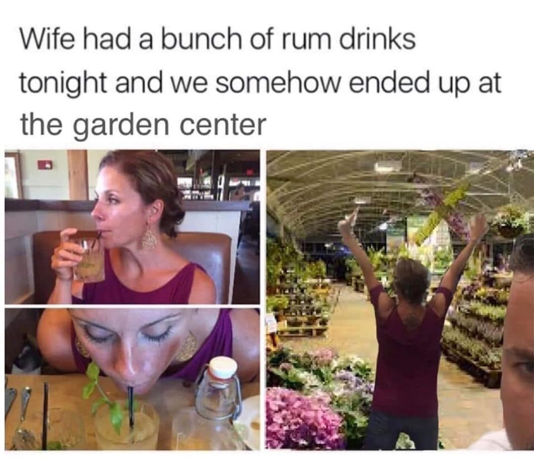 Wife had a bunch of rum drinks tonight and we somehow ended up at the garden center