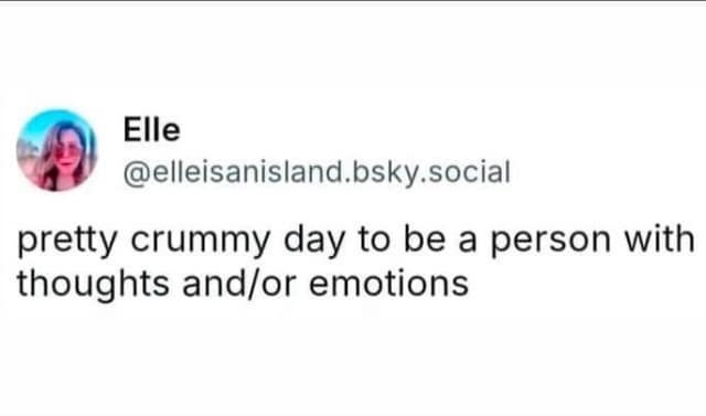 classic memes, vintage memes, viral tweets, evergreen memes, throwback memes, old memes, best memes, meme classics, reaction memes, internet classics, nostalgia memes, shareable memes, evergreen humor, meme archive, comedy classics, timeless jokes, group chat memes, viral humor