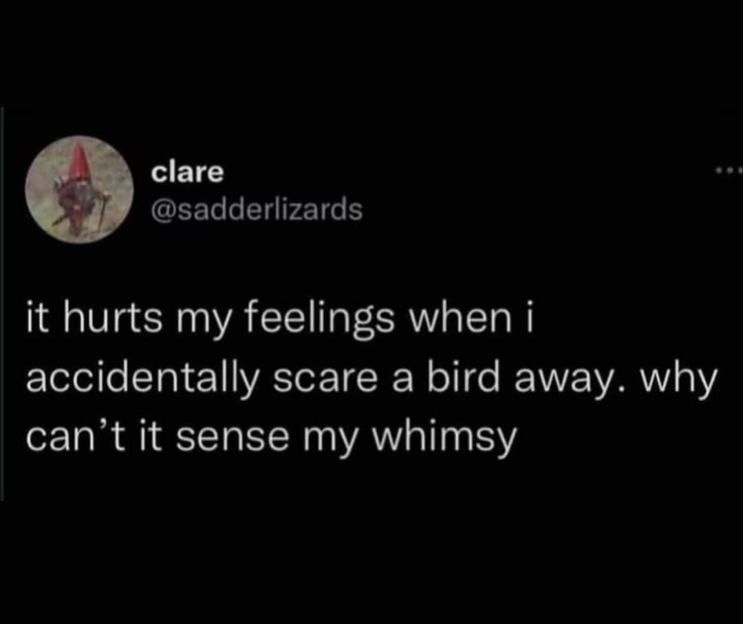 classic memes, vintage memes, viral tweets, evergreen memes, throwback memes, old memes, best memes, retro memes, internet classics, timeless humor, reaction memes, meme archive, nostalgia memes, shareable memes, digital nostalgia, viral jokes, nostalgic humor, comedy classics, memorable memes, internet memes, meme history, timeless laughs, classic internet memes