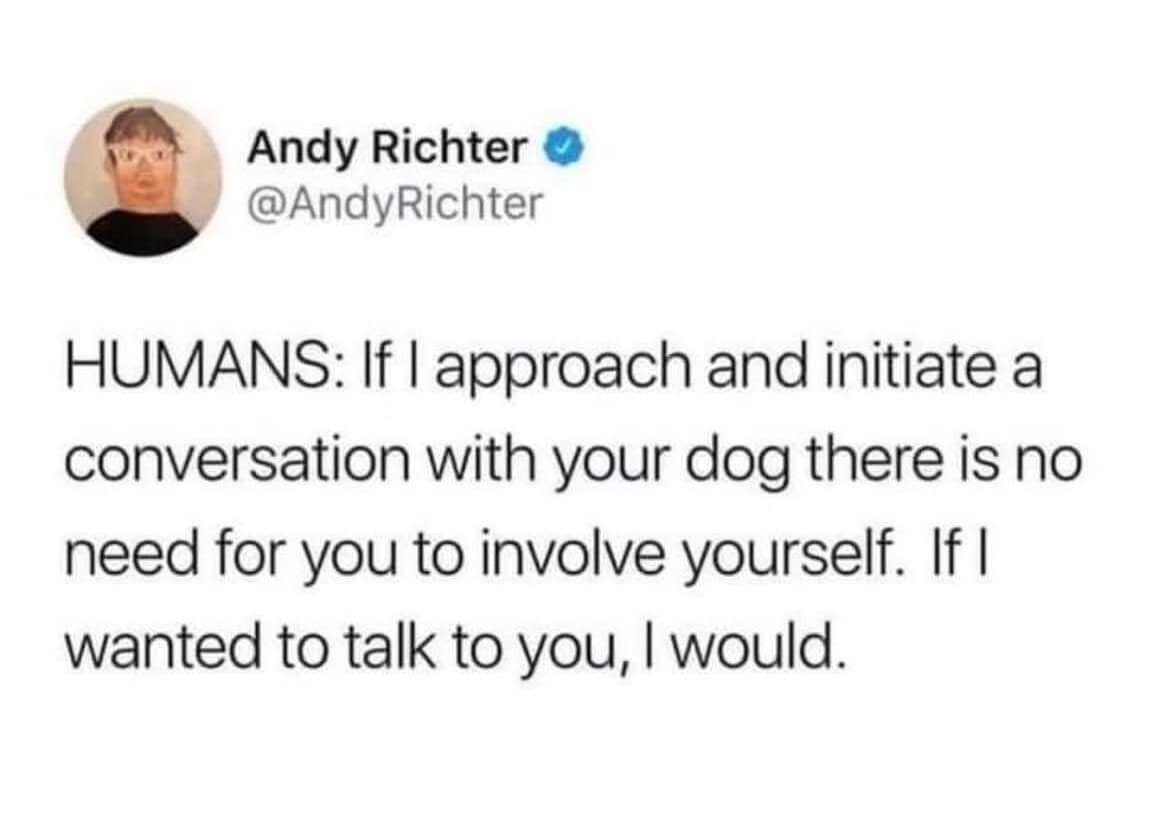 classic memes, viral tweets, vintage memes, evergreen memes, best memes, timeless memes, throwback memes, nostalgic humor, meme archive, viral jokes, meme classics, old memes, relatable memes, funny throwbacks, retro memes, internet culture, meme nostalgia