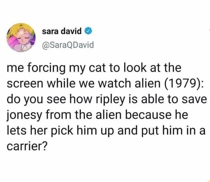 classic memes, vintage memes, viral tweets, evergreen memes, throwback memes, old memes, best memes, retro memes, internet classics, reaction memes, nostalgia memes, meme archive, timeless humor, meme history, digital nostalgia, original memes, viral humor, relatable memes, group chat memes, meme culture, shareable memes, comedy classics, nostalgic humor