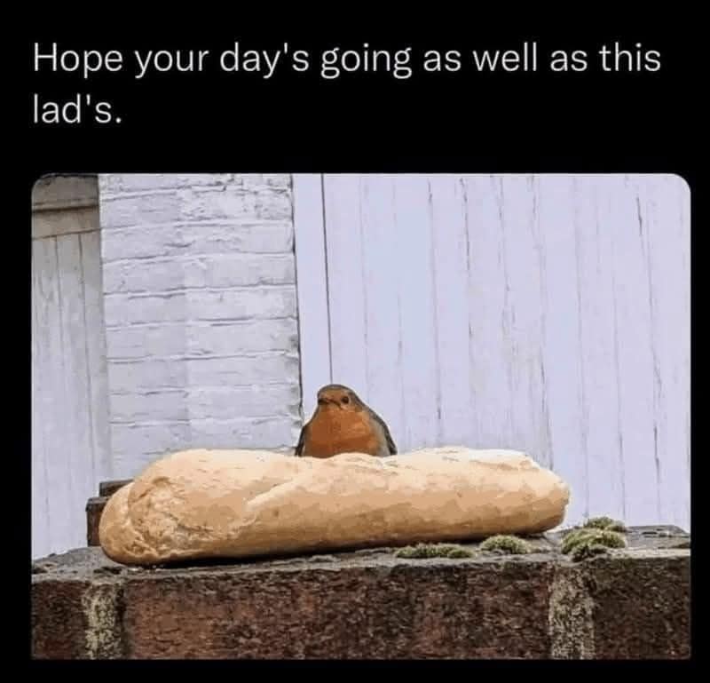 classic memes, viral tweets, vintage memes, evergreen memes, best memes, timeless memes, throwback memes, nostalgic humor, meme archive, viral jokes, meme classics, old memes, relatable memes, funny throwbacks, retro memes, internet culture, meme nostalgia