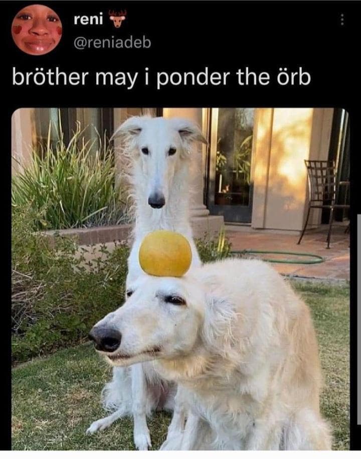 classic memes, vintage memes, viral tweets, evergreen memes, throwback memes, old memes, best memes, retro memes, internet classics, reaction memes, nostalgia memes, meme archive, timeless humor, meme history, digital nostalgia, original memes, viral humor, relatable memes, group chat memes, meme culture, shareable memes, comedy classics, nostalgic humor