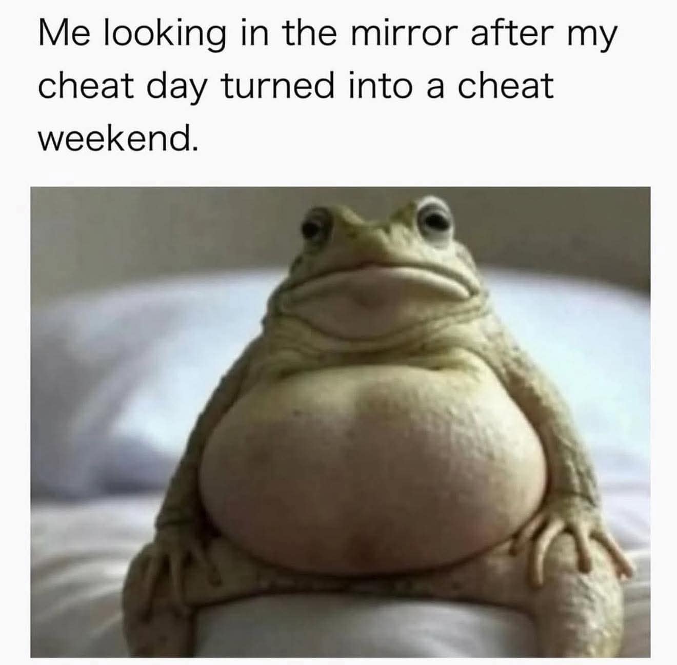 classic memes, vintage memes, viral tweets, evergreen memes, throwback memes, old memes, best memes, retro memes, internet classics, reaction memes, nostalgia memes, meme archive, timeless humor, meme history, digital nostalgia, original memes, viral humor, relatable memes, group chat memes, meme culture, shareable memes, comedy classics, nostalgic humor